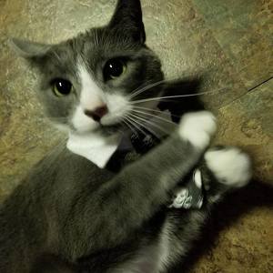 Fundraising Page: KERRI FORTE